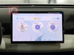 بي واي دي سيل 06 DM-i